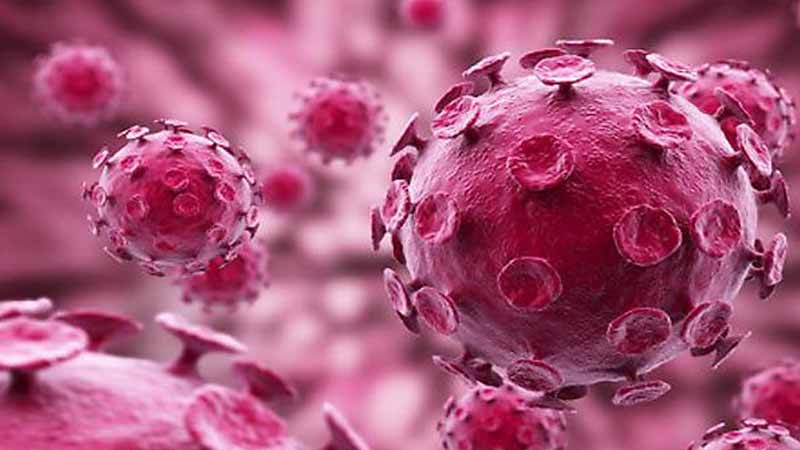 HPV